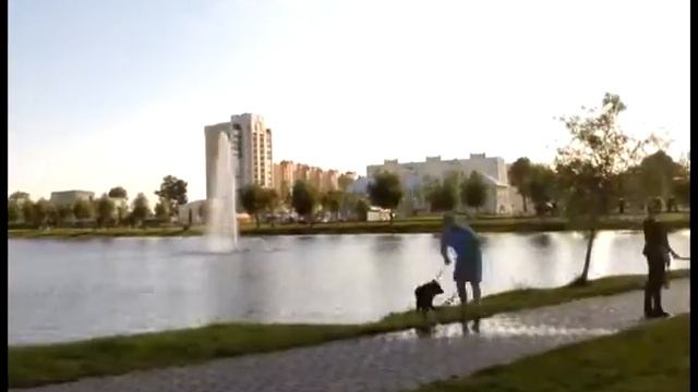 Фонтан в Новобелице Timelapse в Гомеле. смотреть онлайн