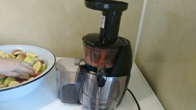 БЕЗОТХОДНОЕ ПРОИЗВОДСТВО. СОК и ПОРОШОК ИЗ ПОМИДОРОВ с помощью соковыжималки Oberhof DRUCKEN Q-4 смотреть онлайн