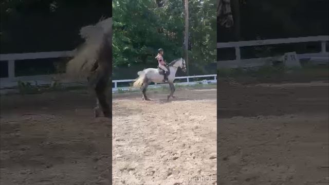 rutube.ru