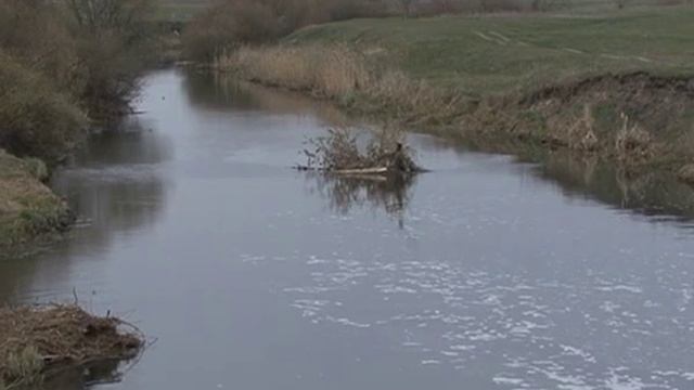 Песня - "Философия рыбалки" смотреть онлайн