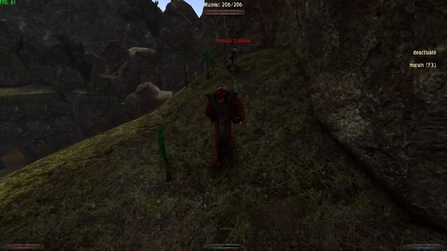 ВСЕ Редкие Перманентные Травы ЯРКЕНДАРА | Возвращение 2.0 НБ | Готика 2 смотреть онлайн