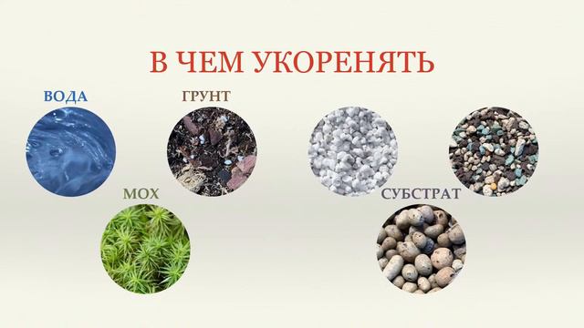 Лекция 