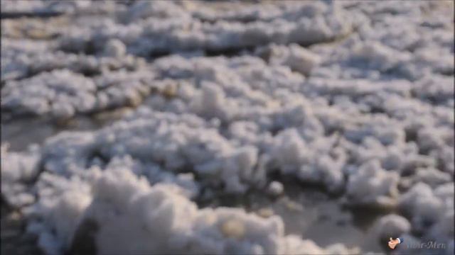 Шуга пошла Река Кондома 🎥 смотреть онлайн