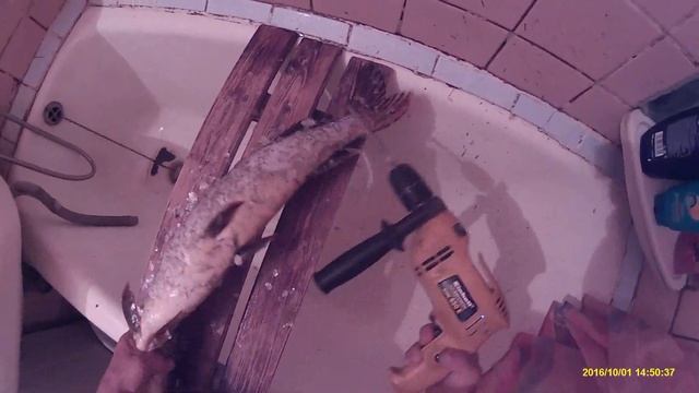 Быстрая чистка щуки дрелью смотреть онлайн