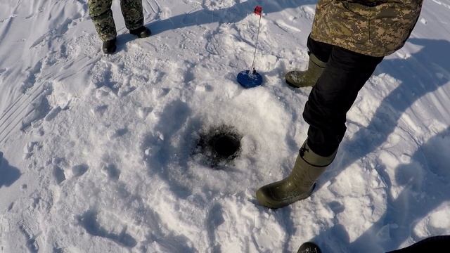 Ловля зачётной щуки на жерлицы в глухозимье | Рыбалка в ЗАПОВЕДНИКЕ! | Ice fishing | Pike смотреть онлайн