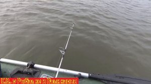 Ловим Берша в отвес с лодки на балду так ловили в СССР.  Удачная рыбалка в отвес с удочками СССР.