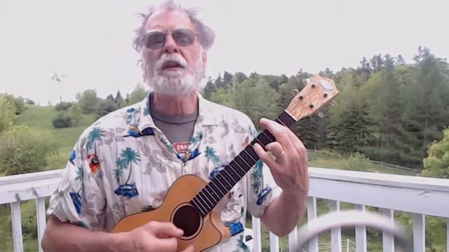 Wouldn't It Be Nice - ukulele смотреть онлайн