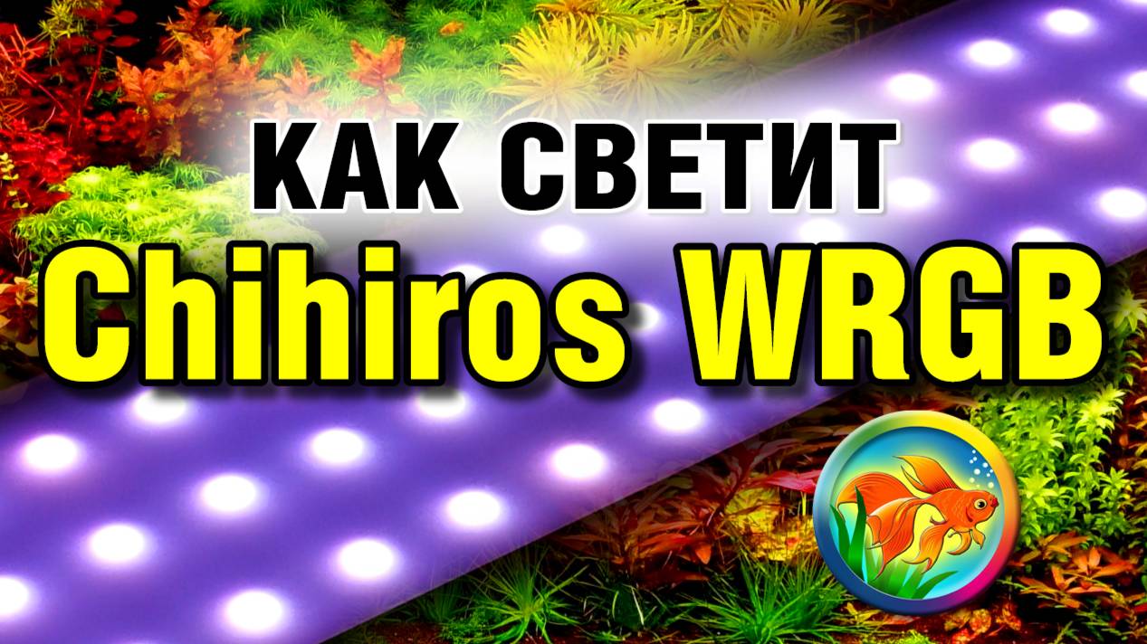 Светодиодный светильник для аквариума Чихирос. Как светит.