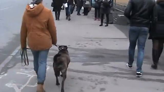 На улице в толпе смотреть онлайн