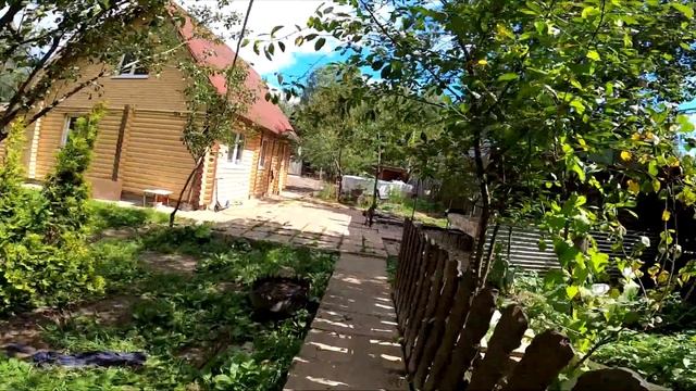 КАК ЖИВЕТ ЧЕРНЫЙ ВОЛК НА ДАЧЕ с Козленком и Волкодавами Гампр смотреть онлайн