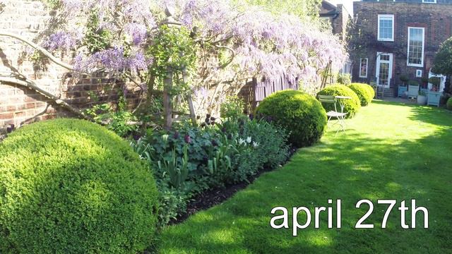 Tulip And Allium Bulbs - April - Part 2/3