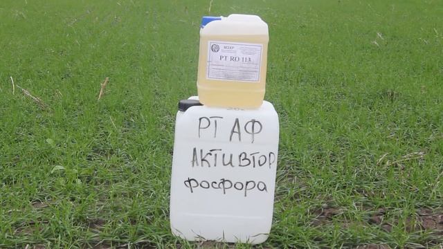 Нашумевший фосфит калия по вегетации перед уходом в зиму + активация фосфора в почве смотреть онлайн