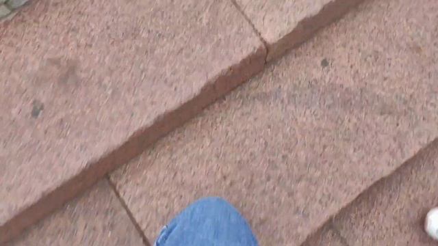 Экскурсия по Москве на двухэтажном автобусе смотреть онлайн