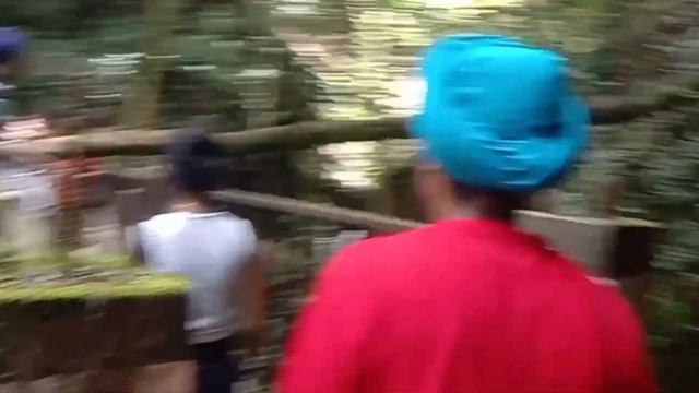 Socha nhi tha trekking jaate waqt dosto ke saath itna maaza aiga 😃 Rhododendron Trek par 😃😃 смотреть онлайн