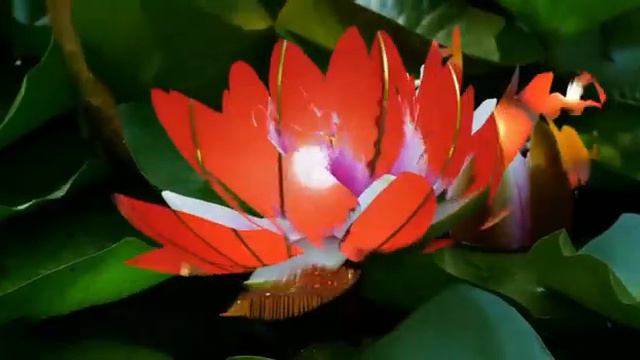 Soo-Yun Корейская уборка