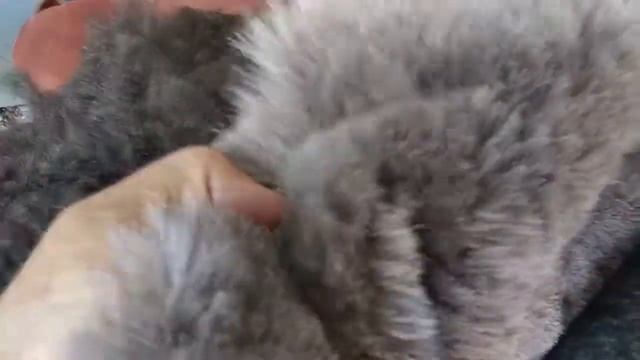 Натуральный утеплитель для зимней обуви смотреть онлайн