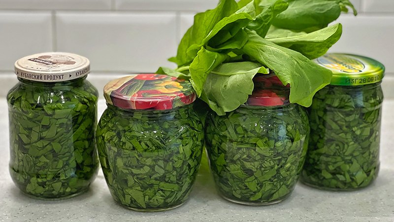 ЩАВЕЛЬ зимой больше НЕ ПОКУПАЮ! Готовлю БЫСТРО и ПРОСТО! Заготовки на зиму! смотреть онлайн