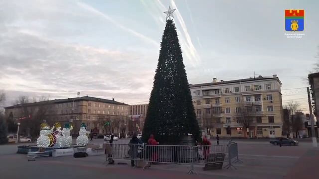 Новогодние ели наряжают в Волгограде смотреть онлайн