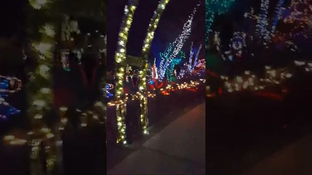 Coyote and the Christmas cactus смотреть онлайн