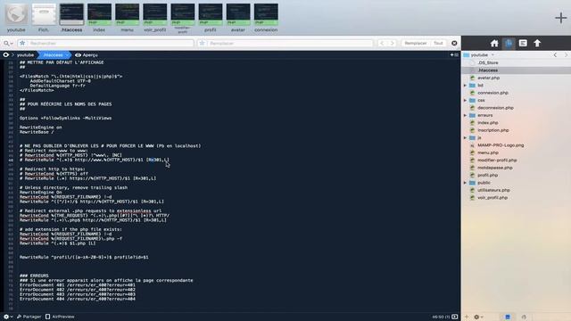PHP #10 Supprimer le .php des URLs (Htaccess) смотреть онлайн