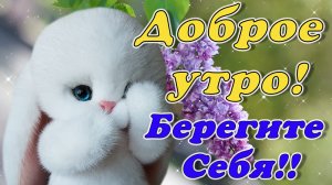 Доброе  Утро !☕? Хорошего дня! Берегите себя!