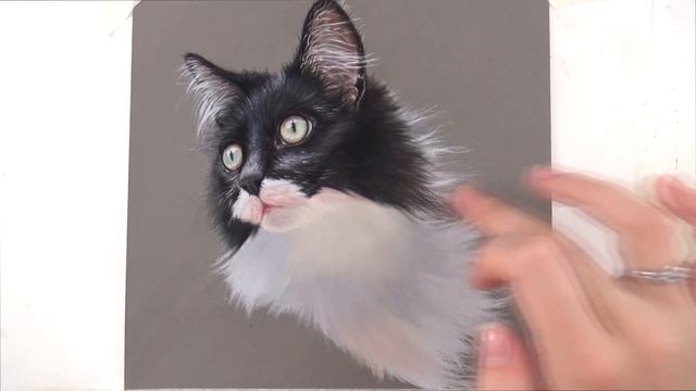 How to draw long WHITE FUR with pastel pencils | REAL TIME смотреть онлайн