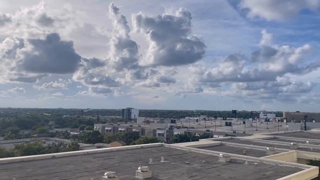 i FLEW 2 HOURS to MIAMI for my 20th BIRTHDAY! (atvs,dinner,room tour, etc..) смотреть онлайн