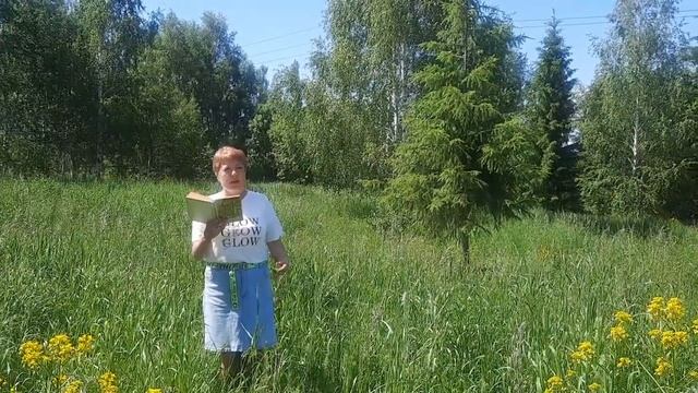 Стихотворение Ш.Бабич "Салават-батыр" в исполнении Мусиной Н.П. смотреть онлайн