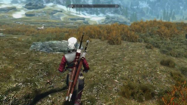 Skyrim Xbox One with Witcher Mods!!! смотреть онлайн