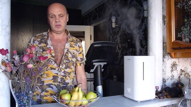 Обзор ультрозвукового увлажнителя воздуха Kitfort КТ 2810 смотреть онлайн