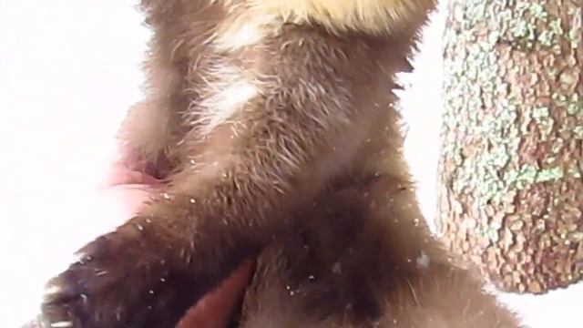 И снова агафон ,кулемка! Щучки и окуни! смотреть онлайн