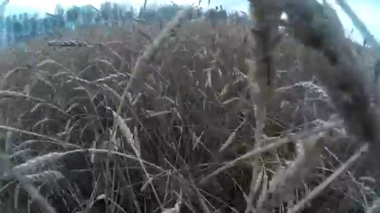 2015 1012 162431 005