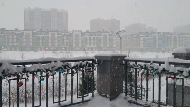 Было Солнце или Нет? Вот в чём вопрос!❄🧐🌞😁 смотреть онлайн