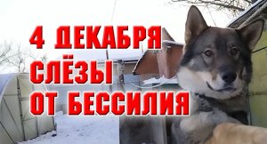4 декабря. Слезы льются от бессилия