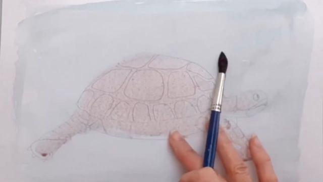 Мастер-класс Черепаха смотреть онлайн