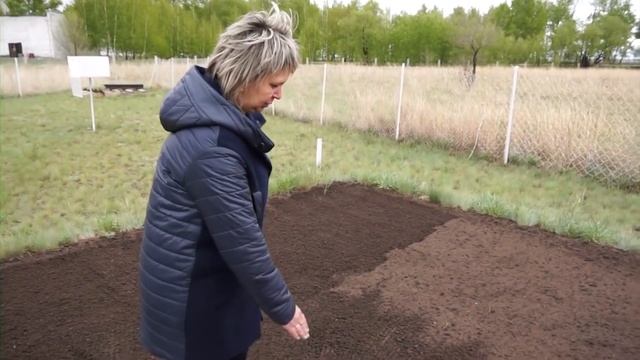 Заморозки в Павлодаре! Взгляд изнутри: как синоптики определяют погоду? смотреть онлайн