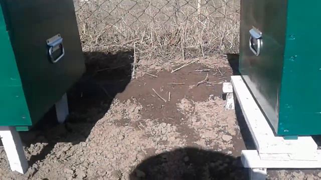 мая пасека севодня 5 марта смотреть онлайн