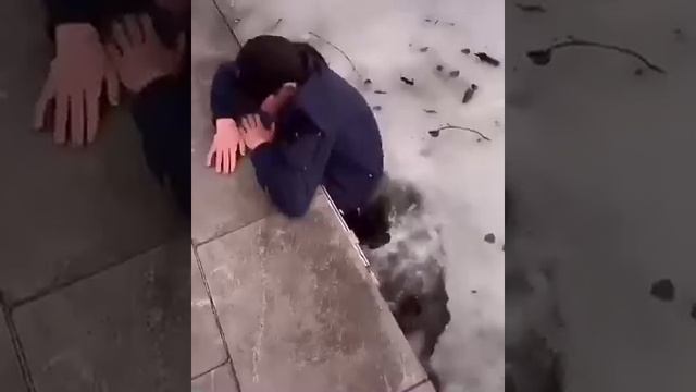 Видео,приколы,юмор,смех смотреть онлайн