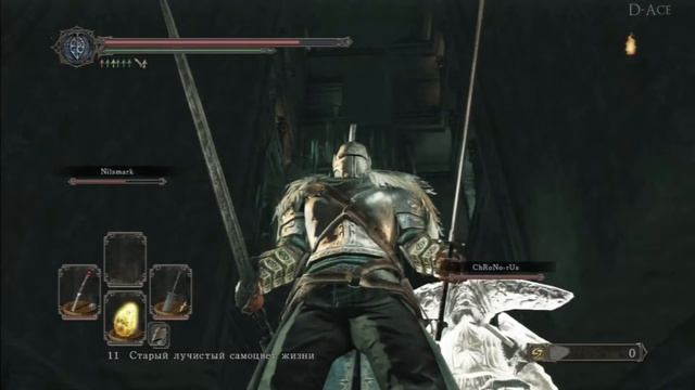 Прохождение Dark souls 2 DLC БОССЫ Crown Of The Sunken King [#4] смотреть онлайн