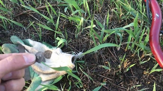 Нашёл церковную утварь. Копаю фундамент дома сельского батюшки. Коп в богатой, перспективной деревн смотреть онлайн