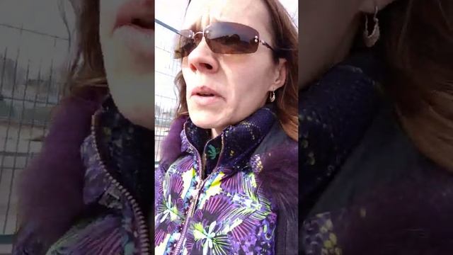 Развитие детей. Как научить ребёнка думать. смотреть онлайн