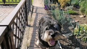 Хамхобаги дар шаби Авалл чи хел бояд бошад