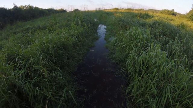 малый волховец смотреть онлайн