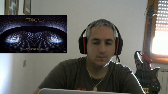 Tool Fear Inoculum - Punk Rock head singer & bassist react to the music you suggest смотреть онлайн