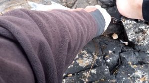 Рыбалка.Море.Ловля сибаса