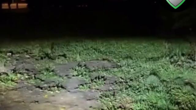 Универсальные ПТФ на Шевроле, Форд, Хонда и другие модели авто смотреть онлайн