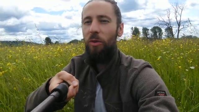 Ба Цзы - ДЕРЕВО ИНЬ - типы личности смотреть онлайн