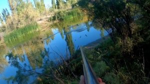 Охота на утку с 32 калибра (Duck hunting 32 caliber)