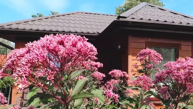 Посконник I Сад Людмилы Кудасовой смотреть онлайн