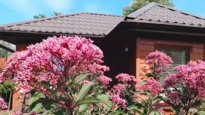 Посконник I Сад Людмилы Кудасовой